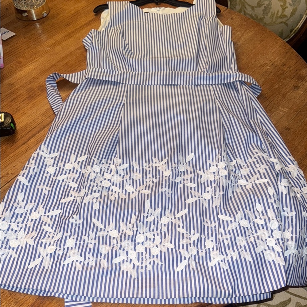 Talbot Blue and White Striped Dress with Floral Design - Picture 2 of 6